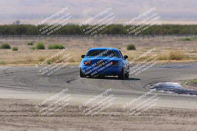 media/Oct-04-2025-OnGrid (Sat) [[44bd565ffa]]/Purple Group/Grapevine/